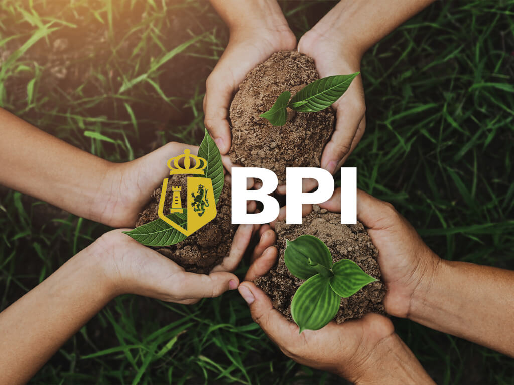 BPI sets P6.2% interest rate for P5B bonds, plus an option to raise more