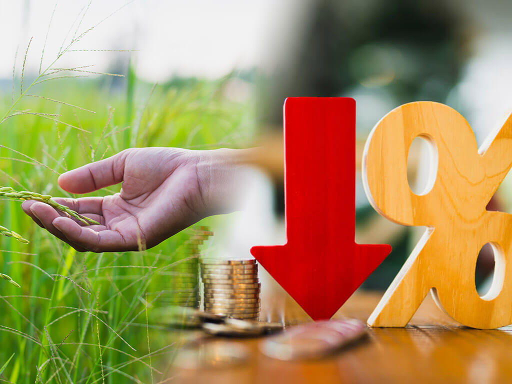 Marcos' rice tariff cuts, cheaper transport costs rein in August ...