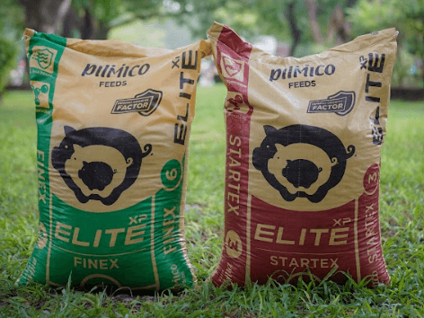 Packaging is the largest source of plastic use across Aboitiz Foods’ operations, from animal feeds to flour, making it a key focus for sustainability efforts./Contributed photo