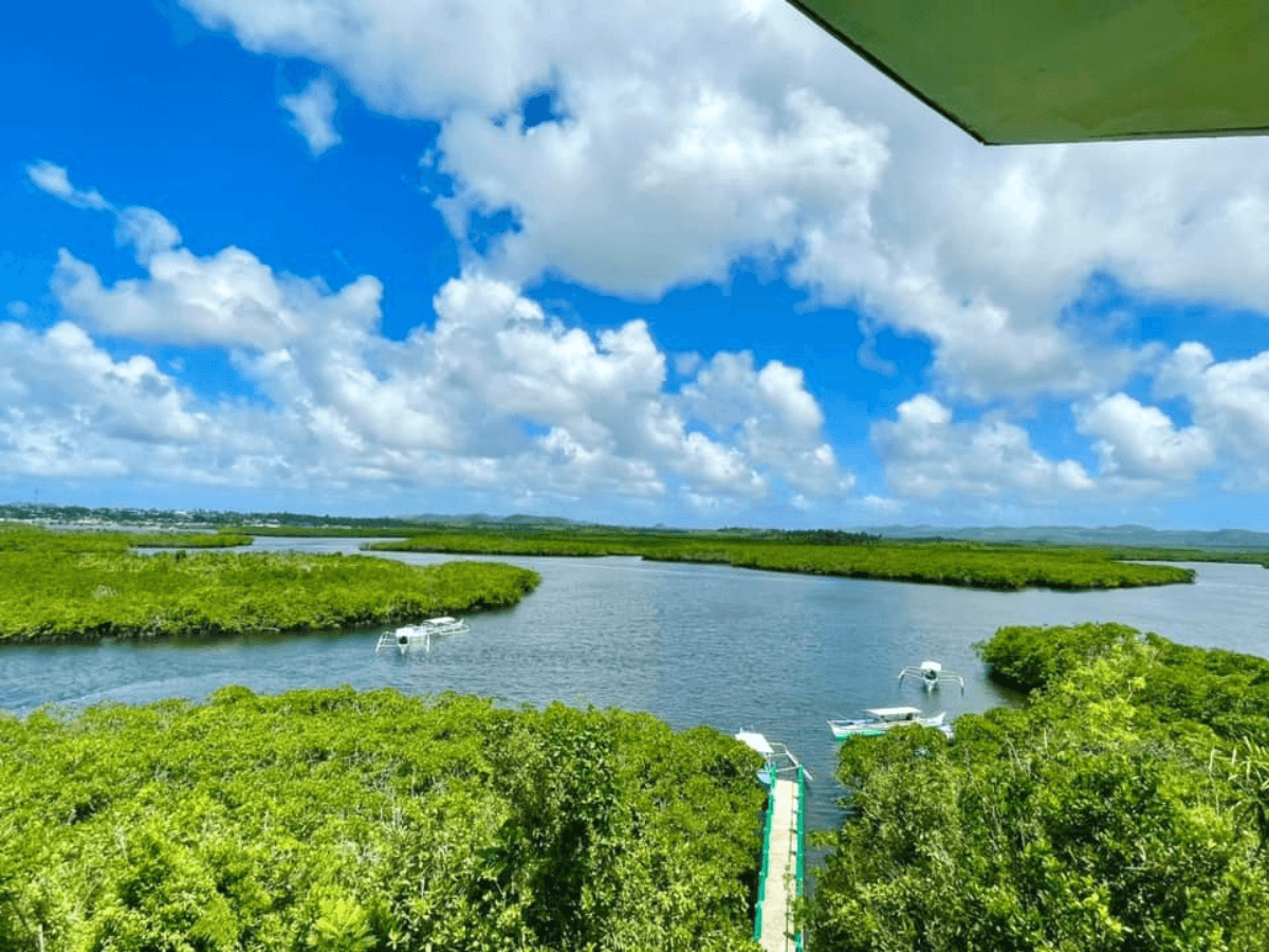 The Del Carmen Mangrove Reserve (DCMR) in Siargao Island Protected Landscape and Seascape (SIPLAS) is the 10th RAMSAR site of the Philippines. It was designated on Nov. 27, 2024 on the occasion of the 10th Asian Wetland Symposium In Manila.| Photo from the Municipality of Del Carmen Facebook page