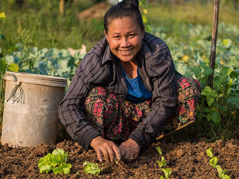 Through financing and policy support for governments and companies, the program aims to help Asia and the Pacific generate diverse and nutritious food, create jobs, reduce environmental impacts, and promote resilient agricultural supply chains./ Photo lifted from ADB website.