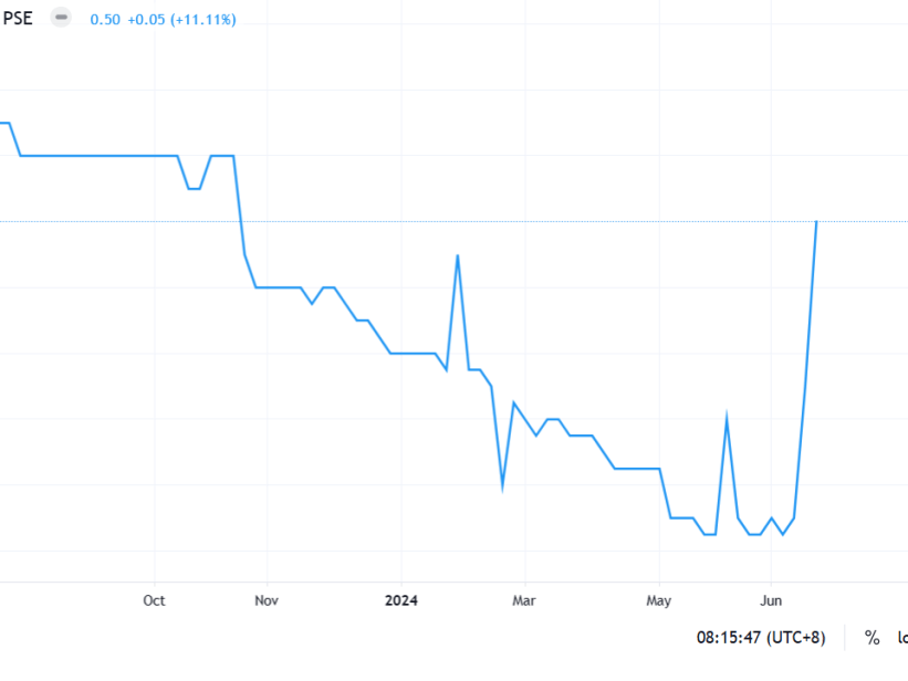 Alliance Select Foods' one-year historical stock price performance on the Philippine Stock Exchange. CLICK ON THE IMAGE TO SEE THE COMPLETE CHART. (Graph courtesy of the Philippine Stock Exchange)