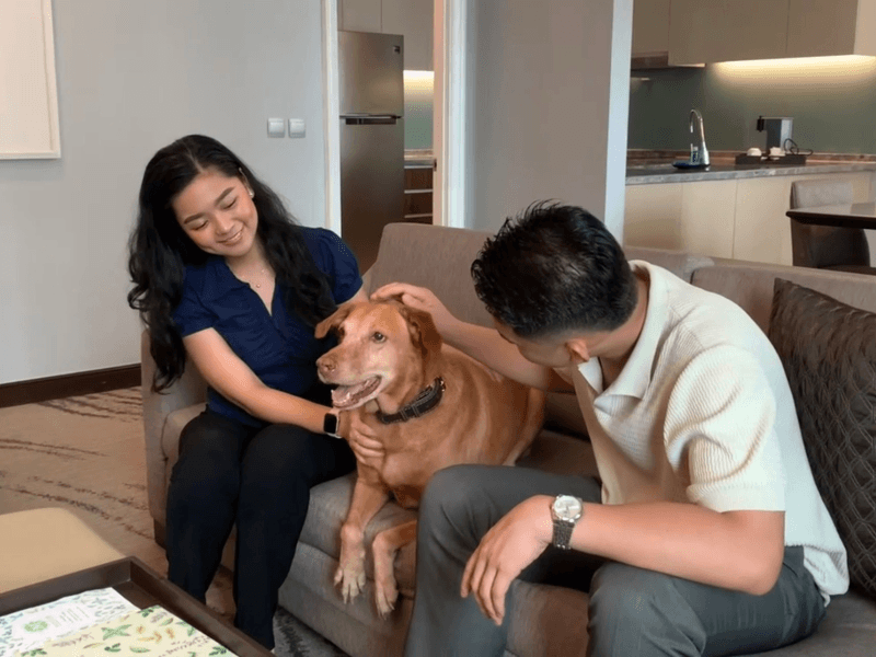 Guests who want to bring their fur babies can use promo code PET in Ascott Makati&rsquo;swebsite to enjoy a waived pet fee for one pet.| Contributed photo