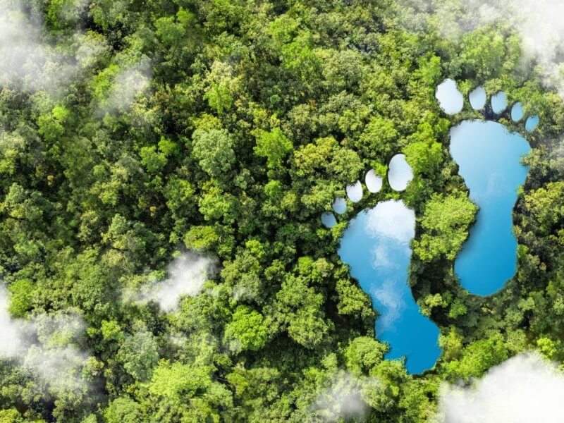 Ayala Land's “Step by Sustainable Step” campaign spotlighted the company's progress toward its 2050 net-zero carbon emissions goal./ Contributed photo