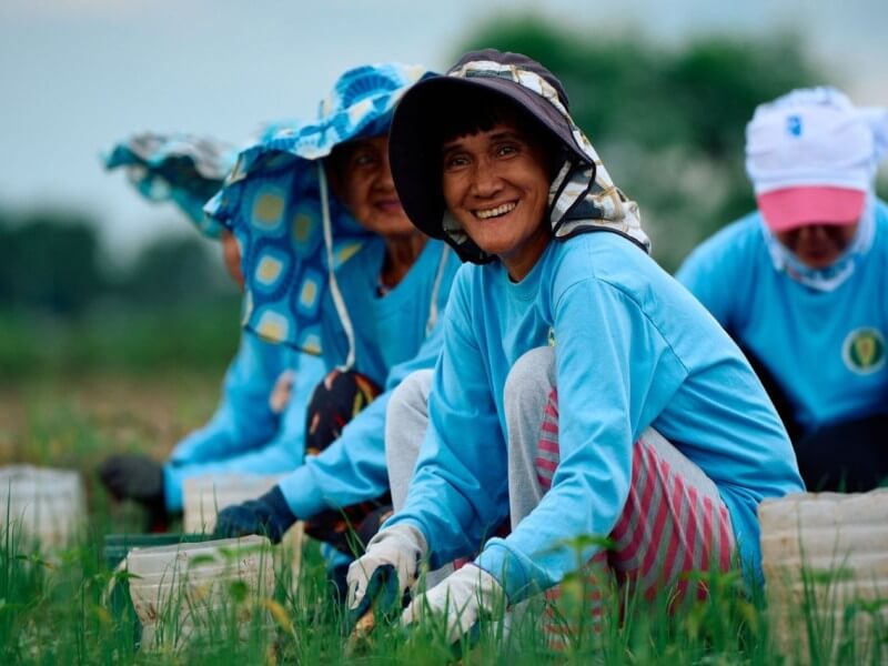 By pairing affordable financing with assured market access, BanKo and Jollibee Group Foundation aim to help onion farmers invest in their farms, increase yields, and strengthen their livelihoods. | Contributed photo