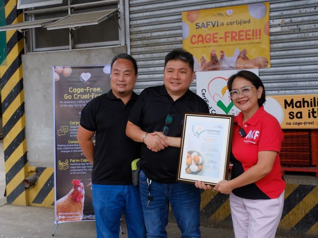 AKF Program Director Atty. Heidi Caguioa presents the cage-free certification to SLC Farm Agriventures Inc., recognizing the farm&rsquo;s transition to humane egg production standards. | Contributed photo