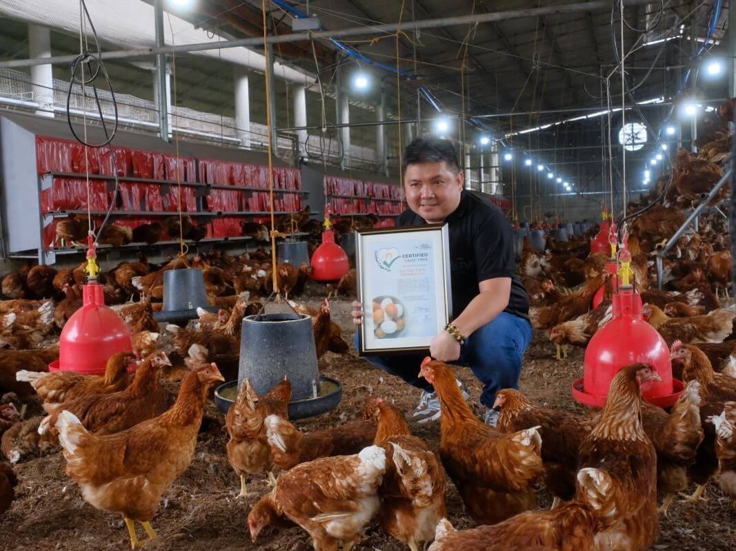 Inside SLC Farm Agriventures Inc.&rsquo;s newly certified cage-free egg house in San Jose, Batangas, marking a shift toward more humane and sustainable egg production in the province. | Contributed photo
