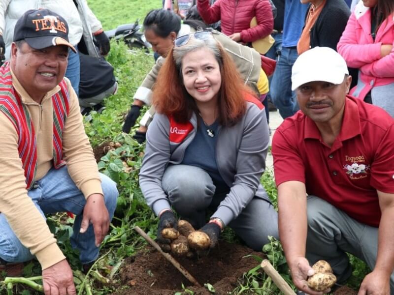 Farmers and program partners gather freshly harvested potatoes in Benguet as part of URC&rsquo;s Sustainable Potato Program, which supports farming communities through access to quality seed potatoes, technical training, and market opportunities while contributing to the continued development of local potato farming. | Contributed photo
