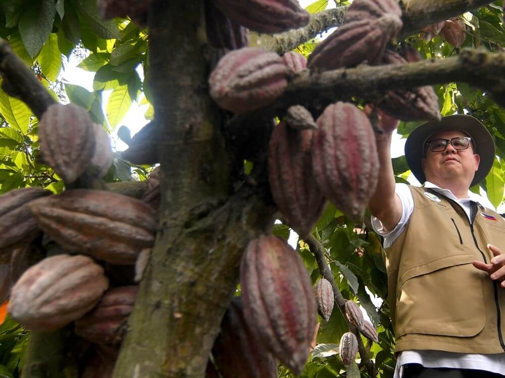 Tiu Laurel urges farmers and stakeholders to put Bicol on the global cacao map./Photo grabbed from the DA website