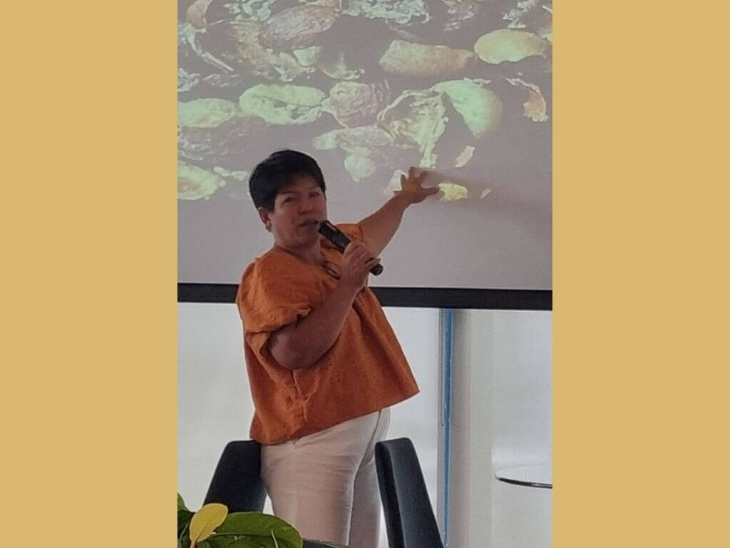 Coffee connoisseur Anatista Perez shows coffee beans are manually sorted by hand to determine which market they are fit to serve. | Contributed photo