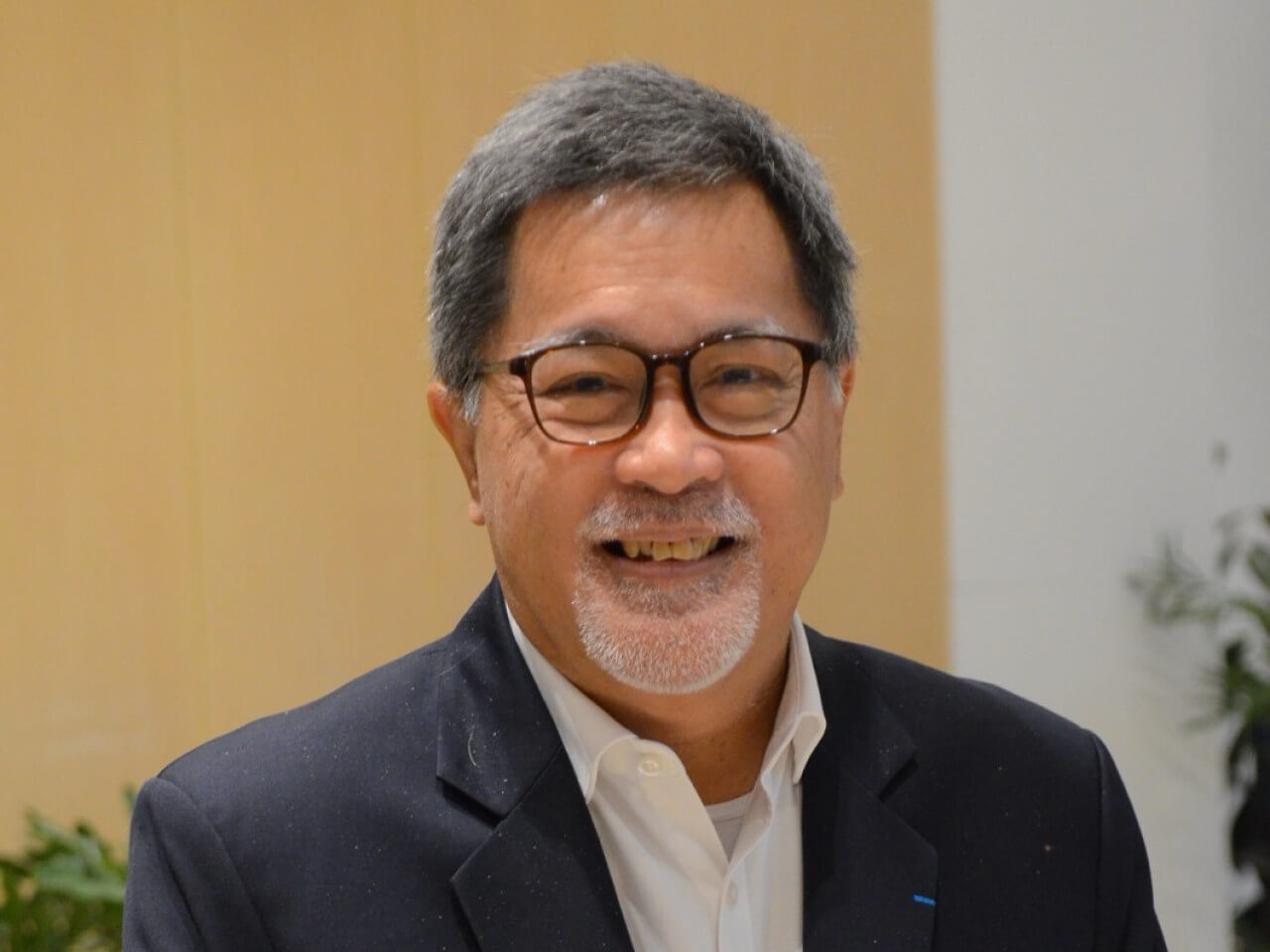 Guillermo "Bill" LuzChair of Liveable Cities Philippines and chief resilience officer at the Philippine Disaster Resilience Foundation