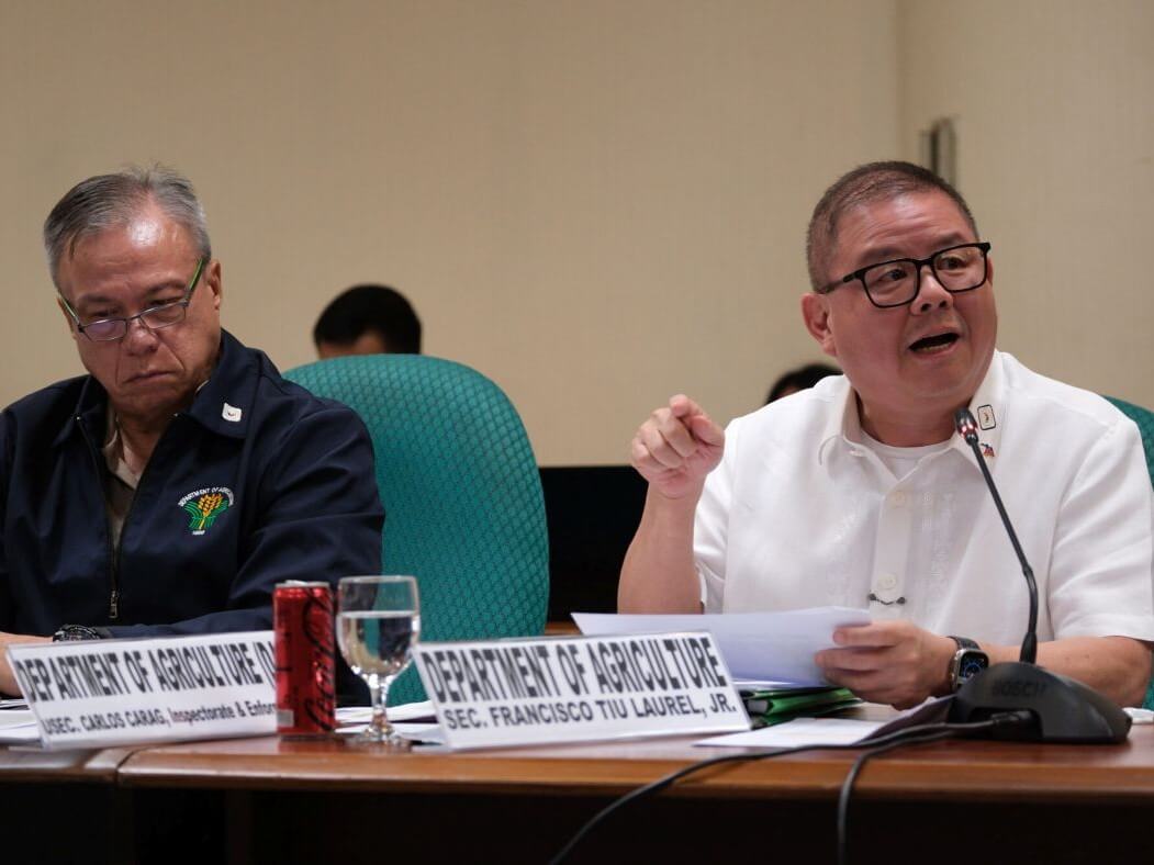 Agriculture Secretary Francisco Tiu Laurel Jr. at a Senate committee of agriculture hearing./ Photo from DA