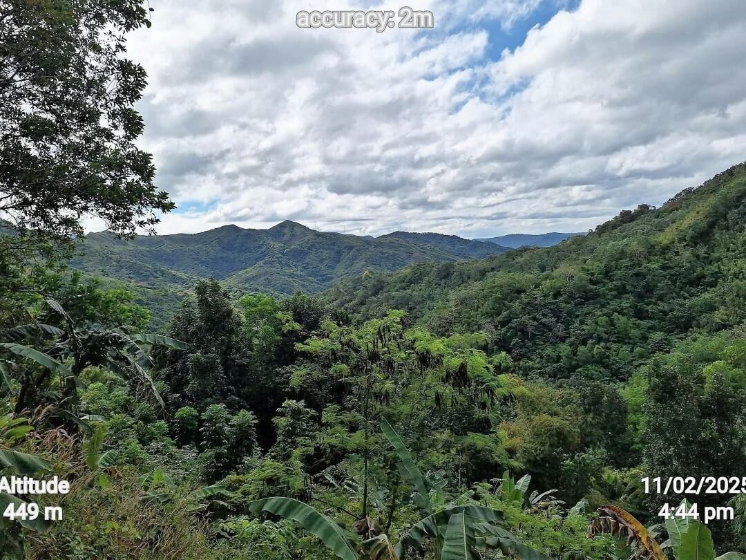 Forest cover of the Upper Marikina River Basin Protected Landscape taken from the Protected Area Management Office, Sitio Baytangan, Brgy. Pintong Bukawe, San Mateo, Rizal./ Photo from the DENR