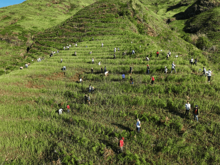 Volunteers from various sectors join the tree-planting organized by CENRO Pinan in Zamboanga del Norte. | Contributed photo