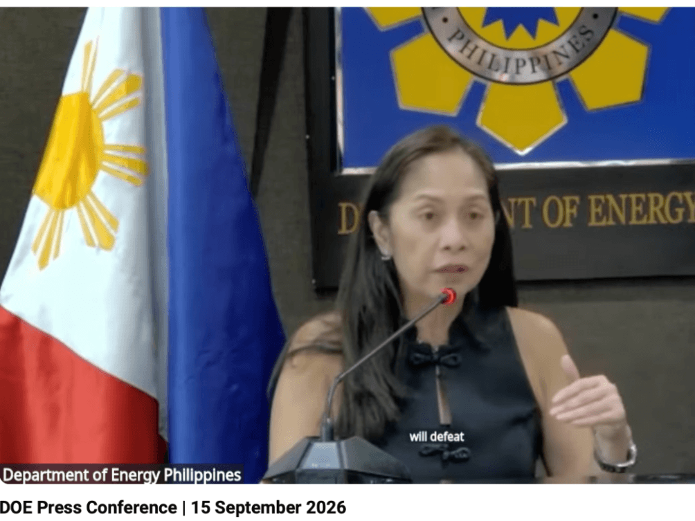 Energy Secretary Sharon Garin presents the Department of Energy&rsquo;s long-term plans to stabilize the Visayas grid during an online press conference on Sept. 15. | Screenshot from Zoom