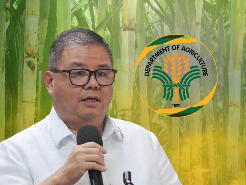 Francisco Tiu Laurel Jr.Department of Agriculture Secretary&nbsp;