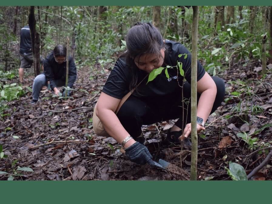 Epson employees planted a total of 371 seedlings in La Mesa Eco Park. | Contributed photo
