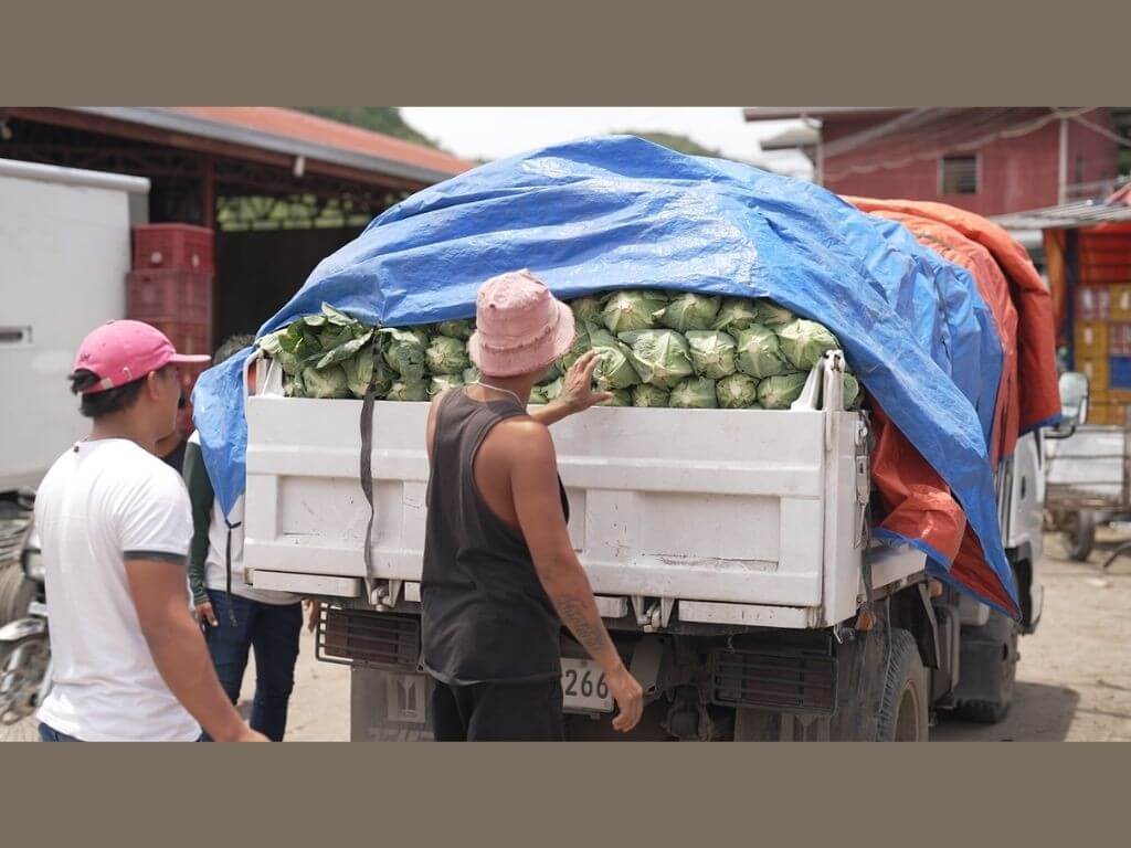 Efficient transport solutions are vital in agro-logistics because they reduce post-harvest losses, cut costs, and ensure fresh, affordable food reaches consumers on time. They also strengthen supply chain resilience by connecting remote farming communities to larger markets and creating more stable income opportunities for farmers. | Contributed photo