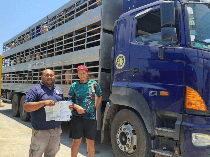 RoRo trucks carrying agricultural products at Maya Port in Daanbantayan, Cebu benefit from waived wharfage fees under a Cebu Ports Authority (CPA) measure to cushion the impact of the global energy crisis.| Photo from the CPA Facebook page