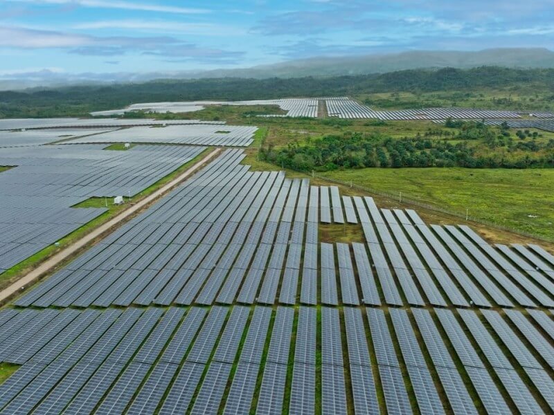 Solar farm/ Photo from ACEN