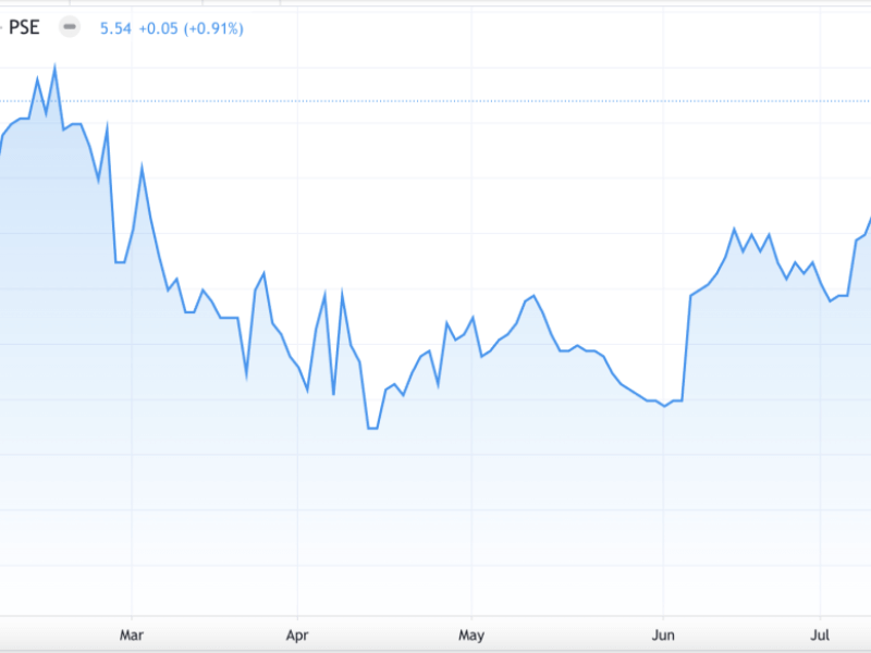 RL Commercial REIT is trading near its recent record high of P5.59 per share as of Monday's close. (Data is from of the Philippine Stock Exchange).  