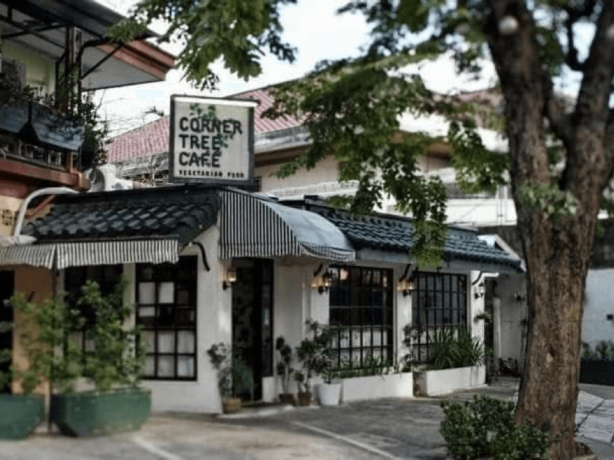 Corner Tree Cafe and the large, shady tree where it got its name. Photo by Neal Oshima.