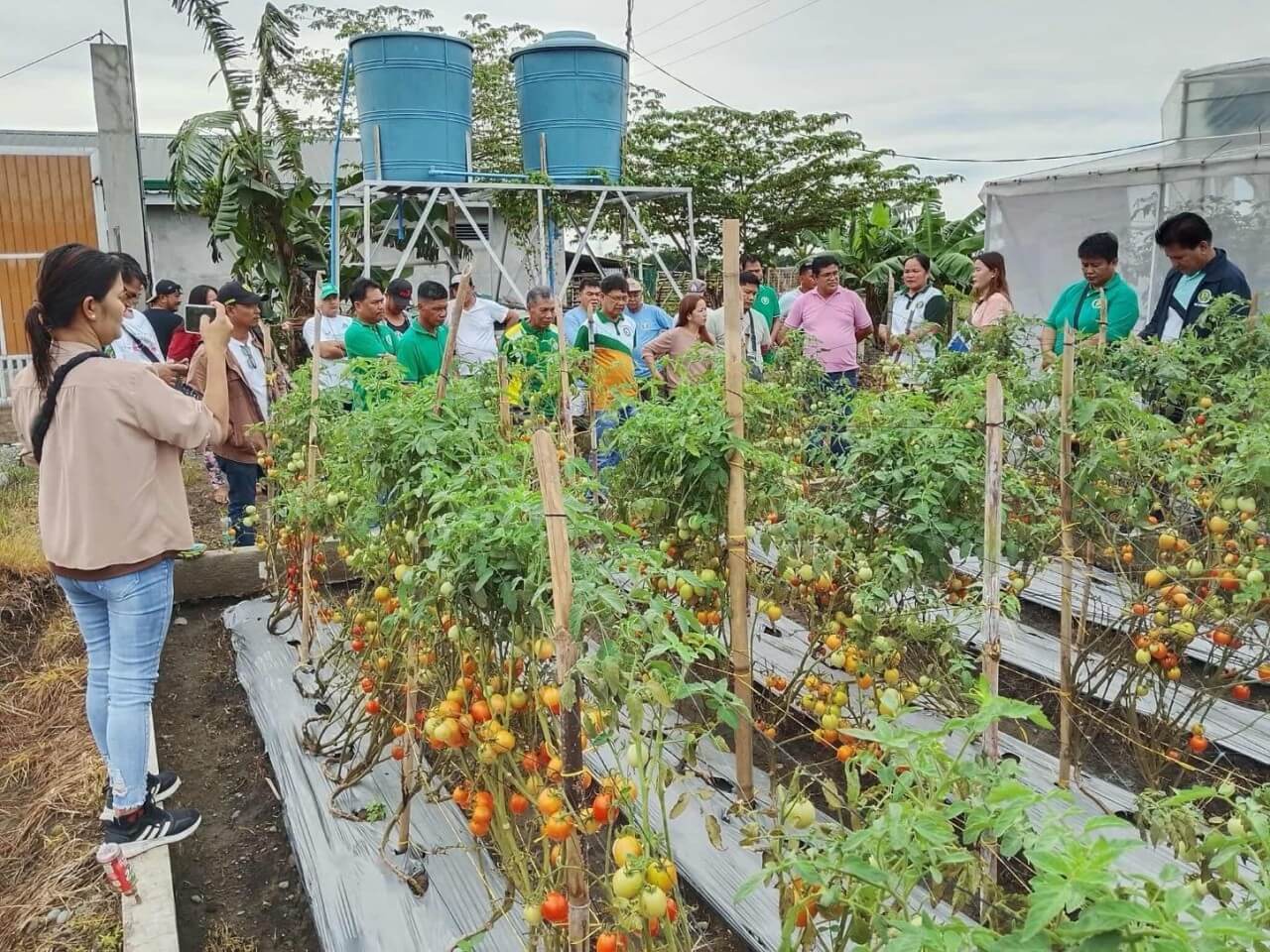 JGF&rsquo;s Agri-Tech Facilitators Program equips farmer leaders and community-based agricultural extension workers with the knowledge and skills to help fellow farmers identify, test and adopt technologies and farming practices suited to local conditions. | Contributed photo