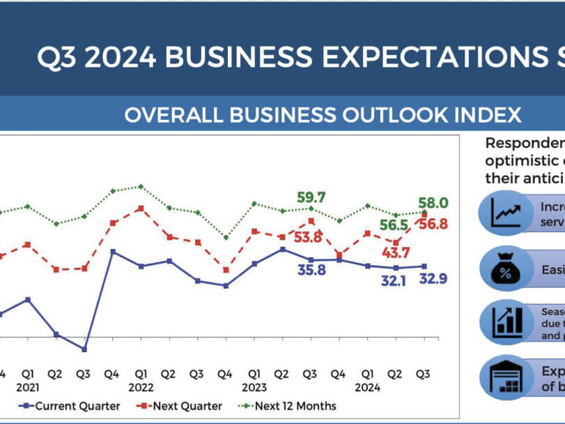A snapshot of the central bank's overall business outlook index. CLICK TO SEE FULL GRAPH./BSP report