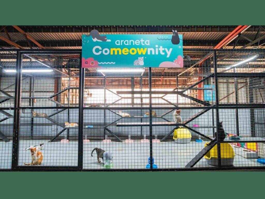 Araneta City deepens its commitment to kindness and shared responsibility through launching of &ldquo;CoMEOWnity&rdquo;, a citywide initiative aimed to protect, care, and uplift the lives of stray cats. | Contributed photo