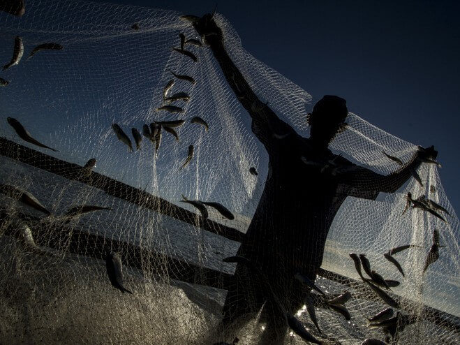 Madridejos fish catch, Bantayan Island/ Photo by Ferdinand Edralin