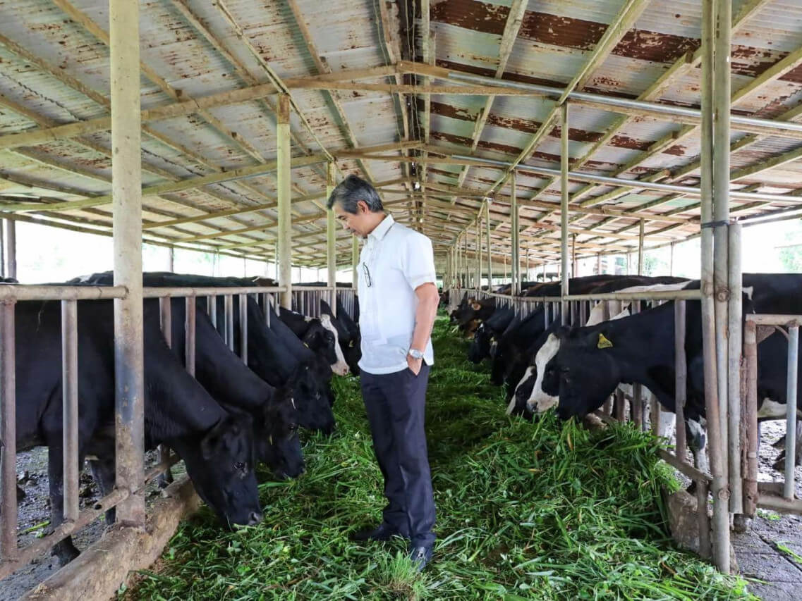 NDA Administrator Marcus Andaya wants to increase the market share of local milk by coordinating with the commercial sector and the local producers./Contributed photo