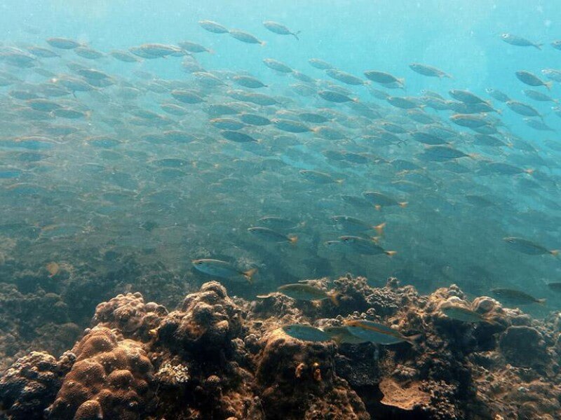 ADB's first cross-sector program focused on fostering national blue economy development in the region. | Photo lifted from the ADB website
