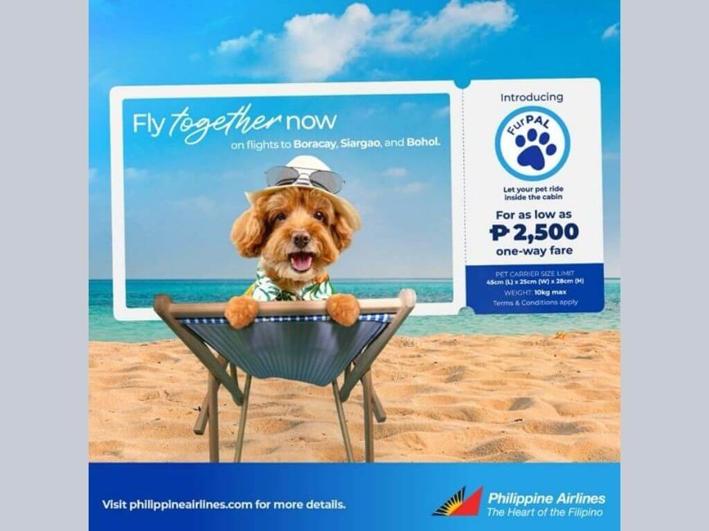 More than just a cute perk, FurPAL puts safety first—from leak-proof carriers and health certifications to HEPA-filtered cabins ensuring comfort for both pets and passengers. ​