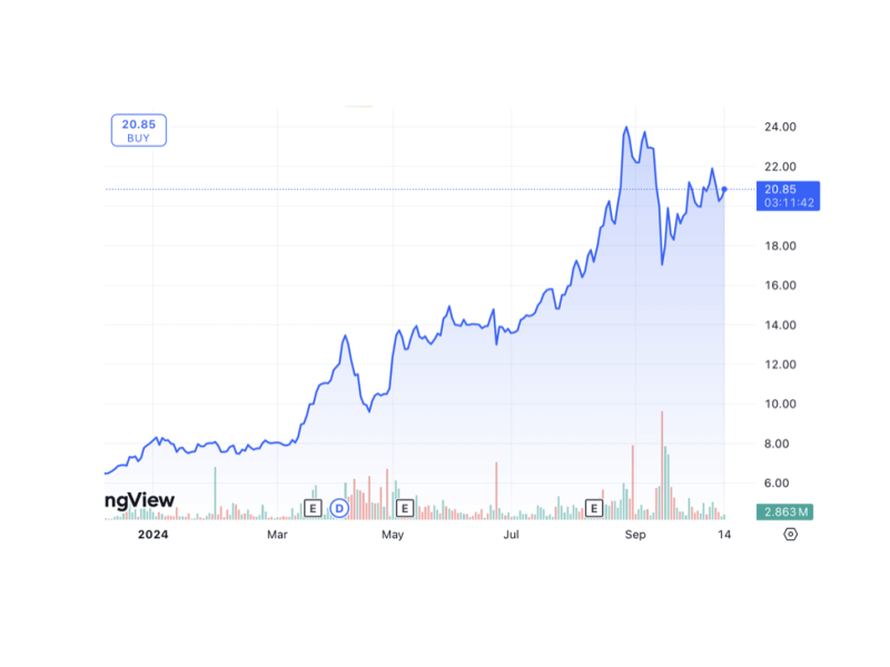 DigiPlus has gained over 155 percent so far this year and is the most actively-traded stock that's not part of the PSE Index./Chart from TradingView 