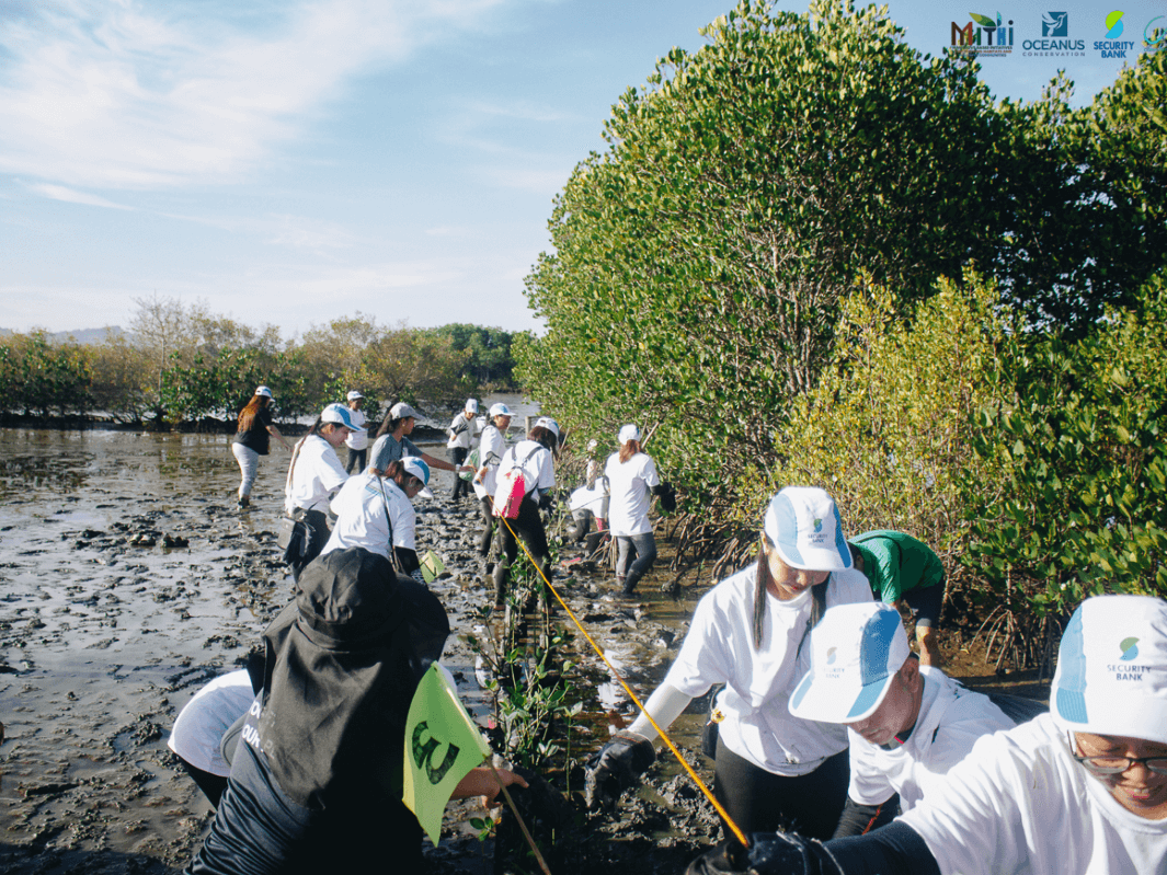 Hands at work —Security Bank volunteers in action for a greener tomorrow, one mangrove at a time./ ​Contributed photo