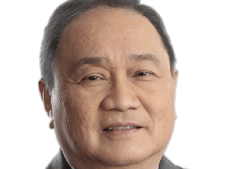 Manuel V. Pangilinan PXP Energy Corp. chair 