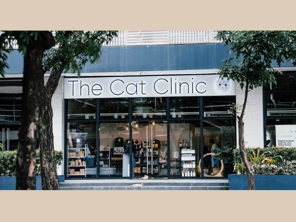 The Cat Clinic in Alabang is designed as a 5-star cat-only hospital that offers superior medical standards coupled with a compassionate approach. &nbsp;| Contributed photo