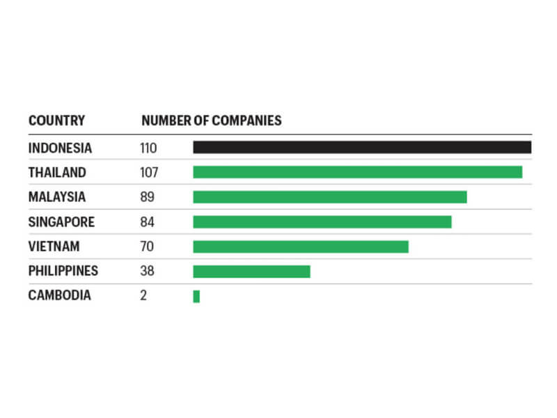 The Philippines is a laggard when it comes to having the most number of large firms in the regional rankings. Click on the image to see the full-sized graph. (Graph courtesy of Fortune Southeast Asia 500 list)