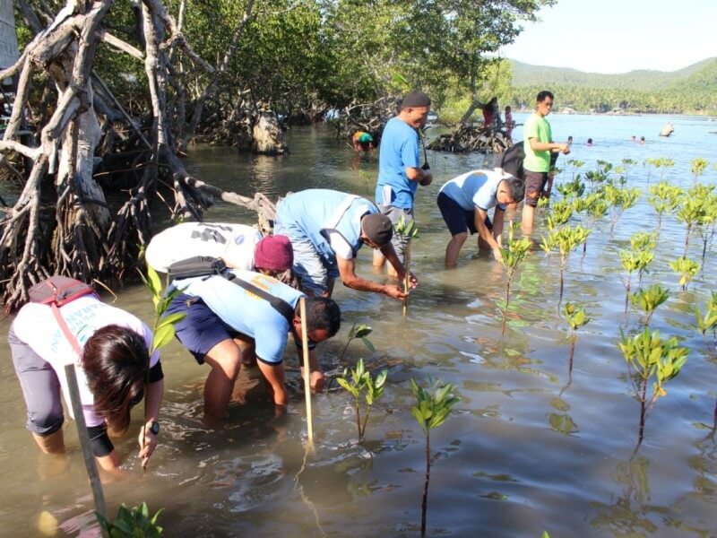 The &ldquo;Adopt-a-River&rdquo; Project demonstrates the collective commitment of stakeholders to protecting and restoring natural ecosystems. Through mangrove planting activities, the initiative contributes to the rehabilitation of river systems, enhances biodiversity, and strengthens natural defenses against erosion and flooding. | Contributed photo
