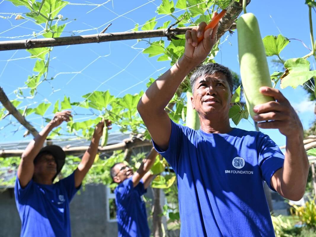 SM Foundation’s Kabalikat sa Kabuhayan Farming Program equips farmers with practical backyard and small-scale farming techniques./ Photo from SM Investments