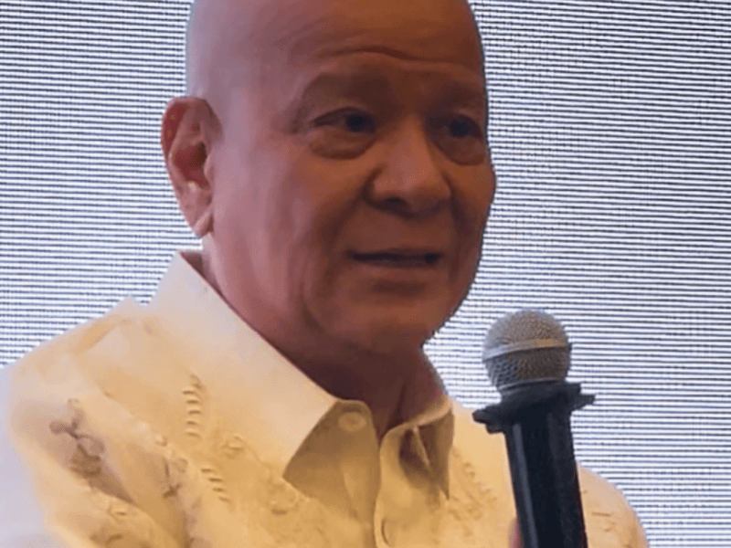 Ramon S. Ang San Miguel Corp. Chair, CEO 