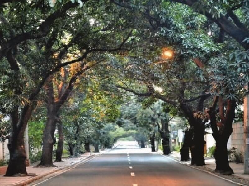 The New Manila area in Quezon City offers a mix of old-money charm and low-density living, with easy access to top schools, hospitals, and major business districts.