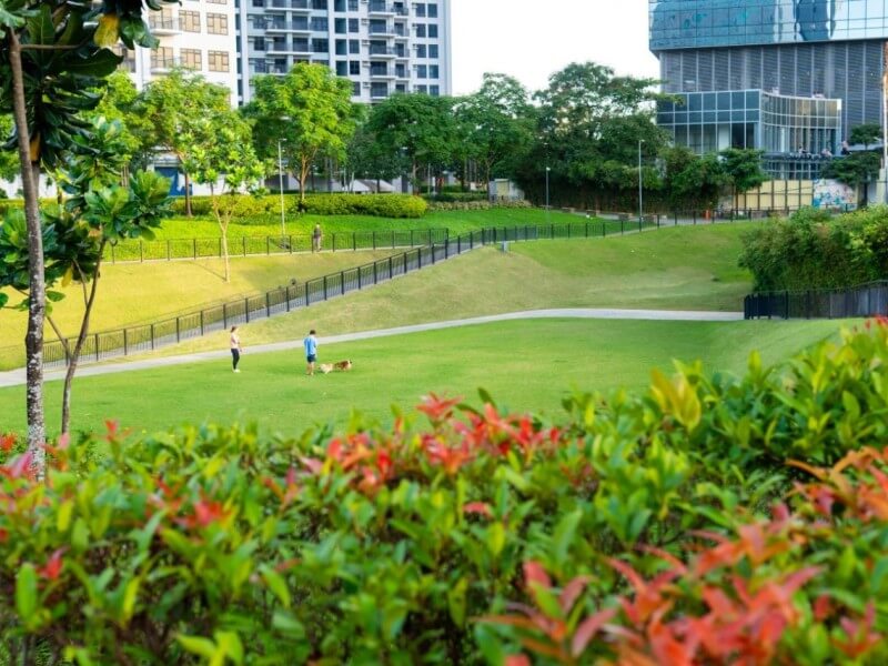 Vertis North Rain Garden | Contributed photo
