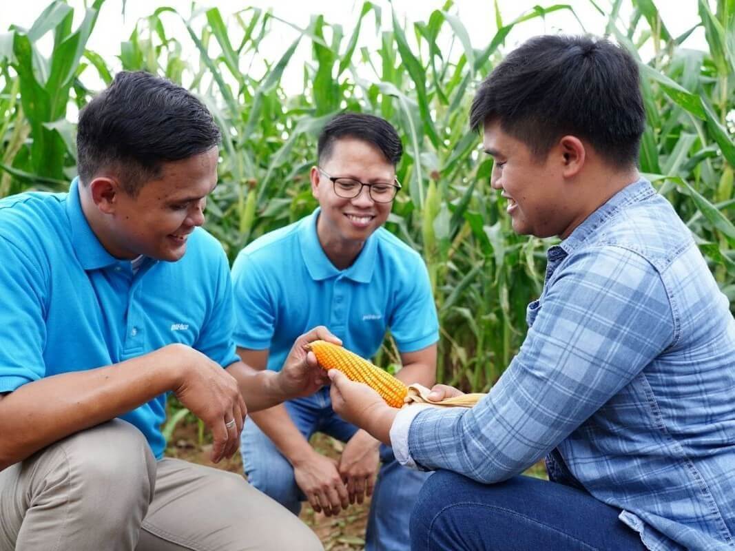 Strengthening corn farmers’ livelihood. Pilmico’s Project Silk has supported 2,835 yellow corn farmers across four provinces, empowering them to thrive as entrepreneurs within the country’s expanding agribusiness sector. | Contributed photo